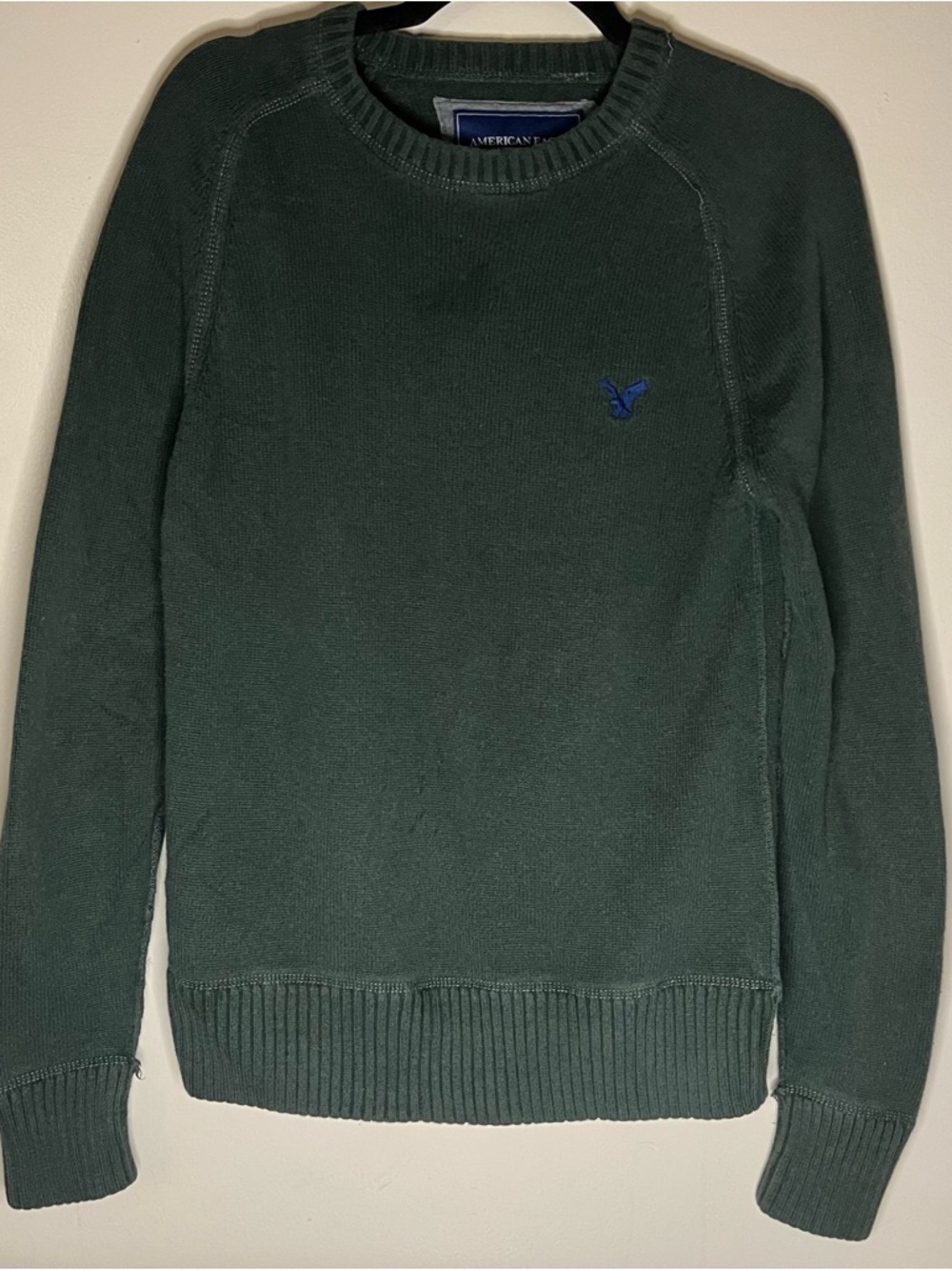 American Eagle Outfitters Dark Green Crewneck Sweater with Blue Logo